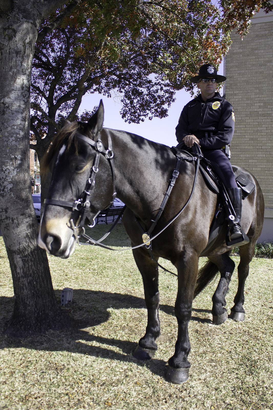Canon EOS 1200D (EOS Rebel T5 / EOS Kiss X70 / EOS Hi) sample photo. Officer shelby and ontario photography