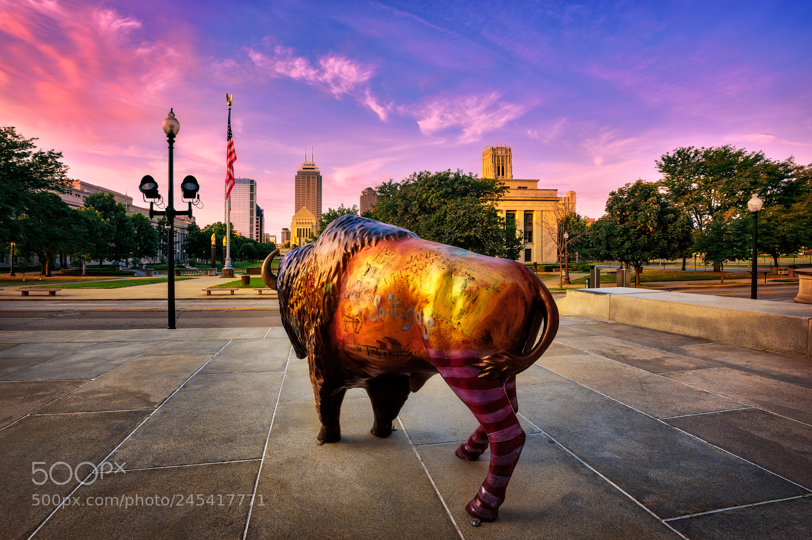 Nikon D810 sample photo. Indianapolisskylineinssw photography