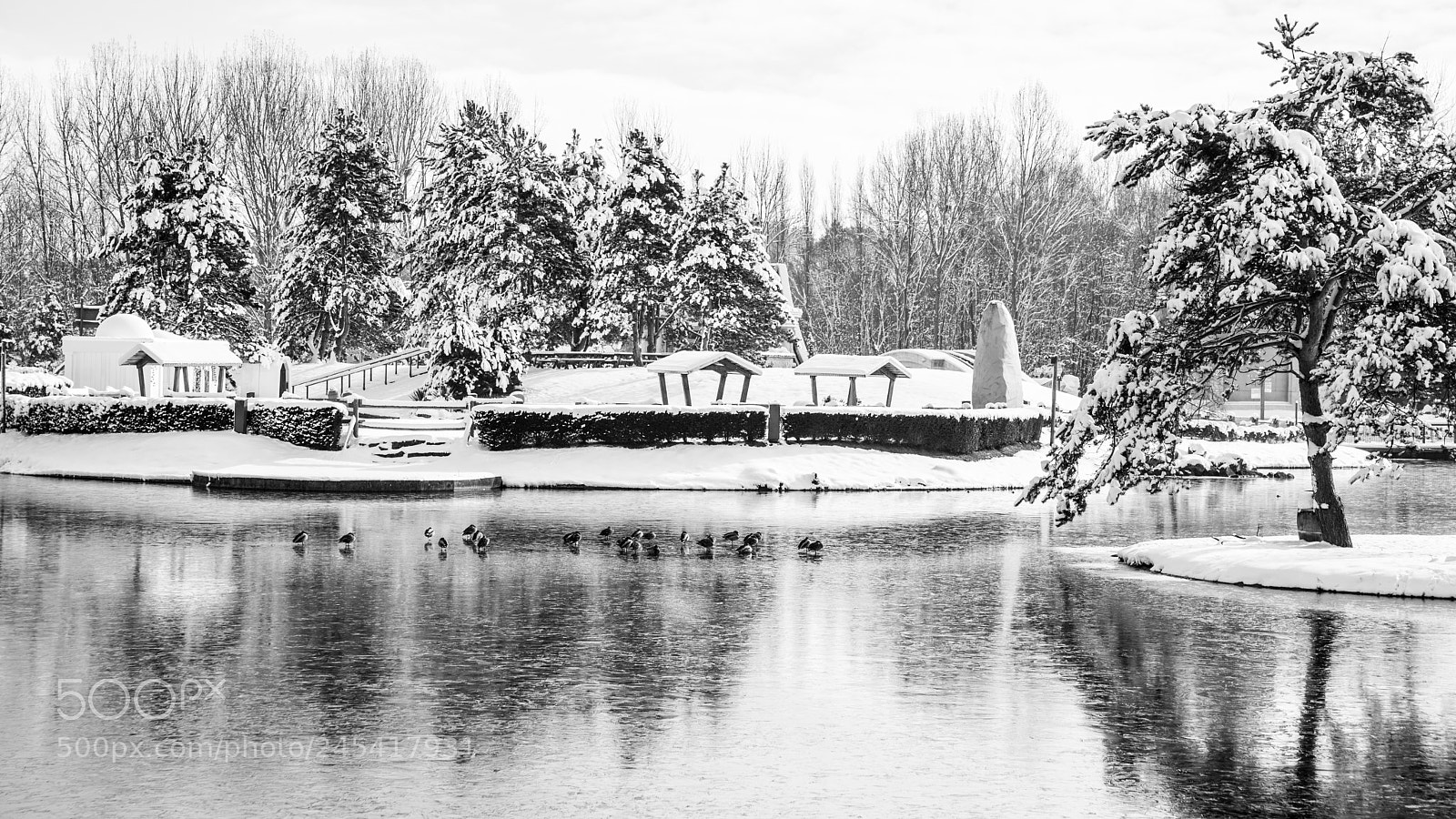 Nikon D600 sample photo. Winter is here photography