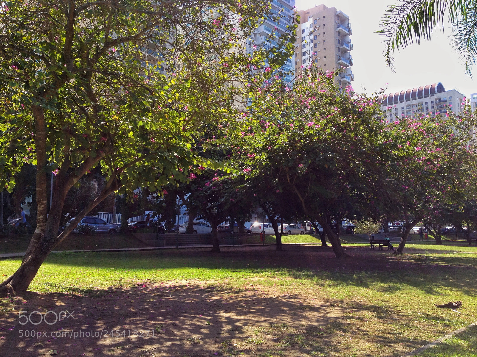 Apple iPhone 4S sample photo. Green place photography