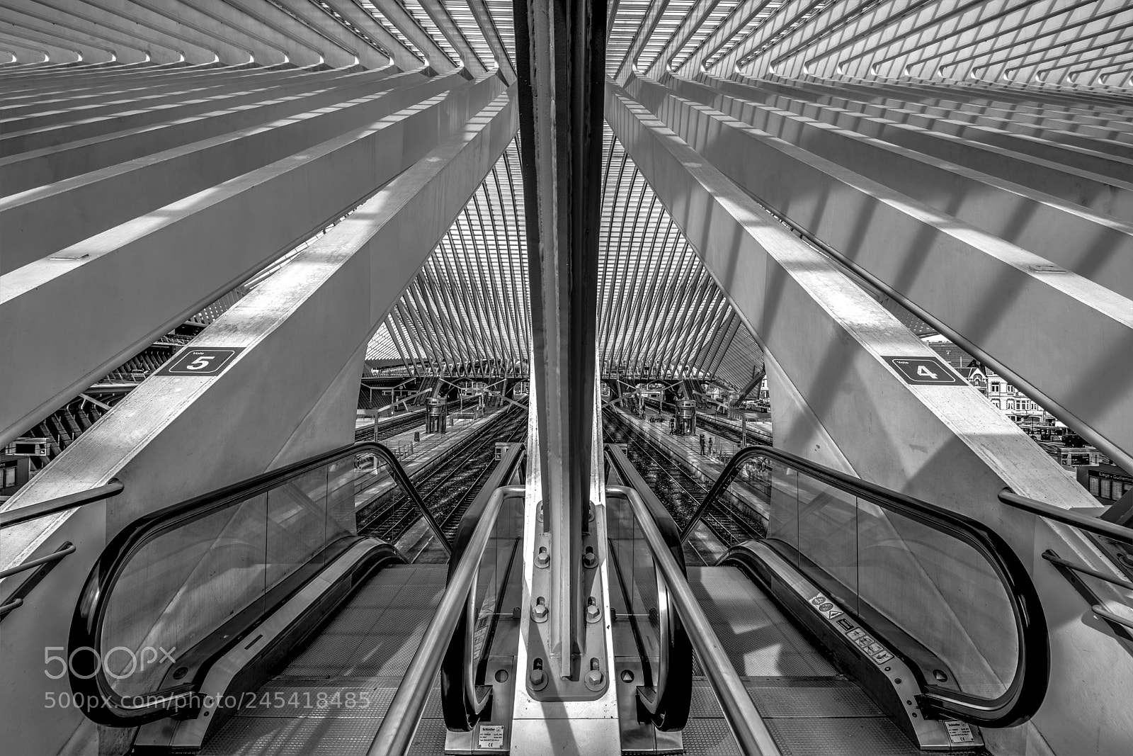 Nikon D7100 sample photo. B & w symmetry... photography