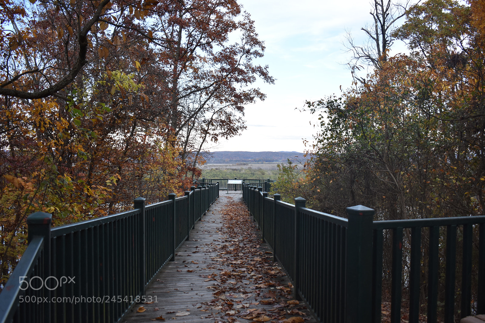 Nikon D3400 sample photo. Trail of tears photography