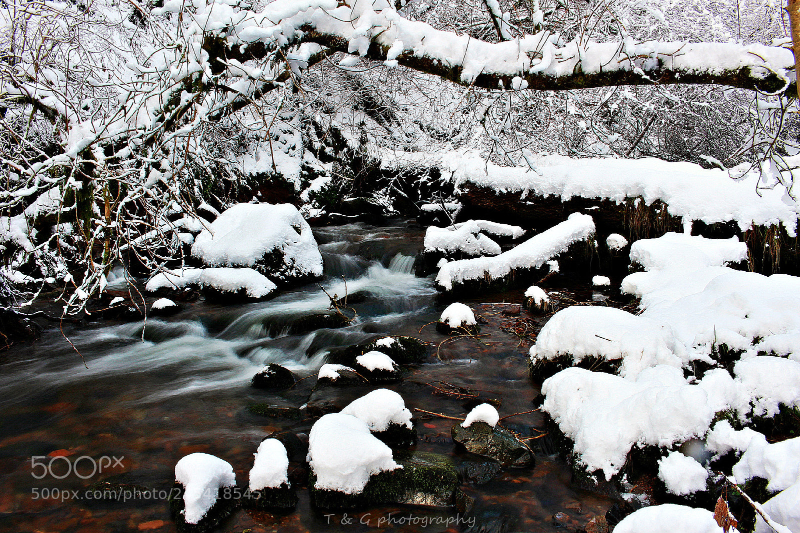 Canon EOS 100D (EOS Rebel SL1 / EOS Kiss X7) sample photo. Winter wonderland photography