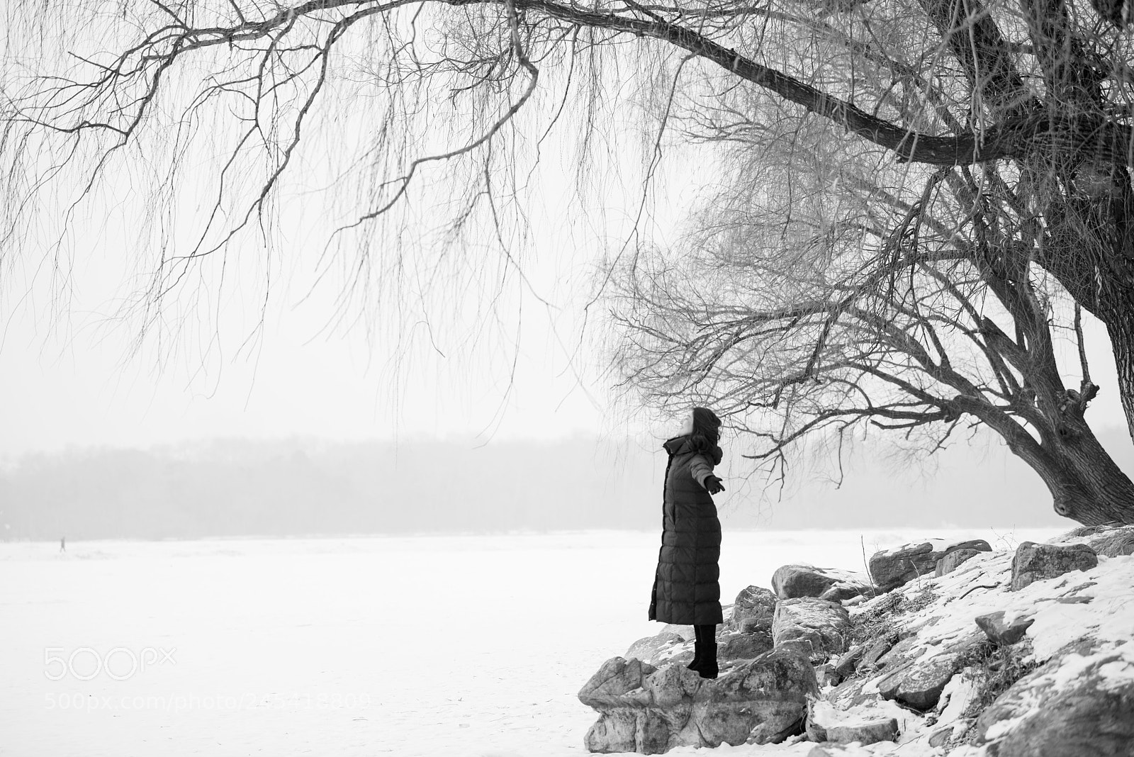 Nikon D810 sample photo. Untitled photography