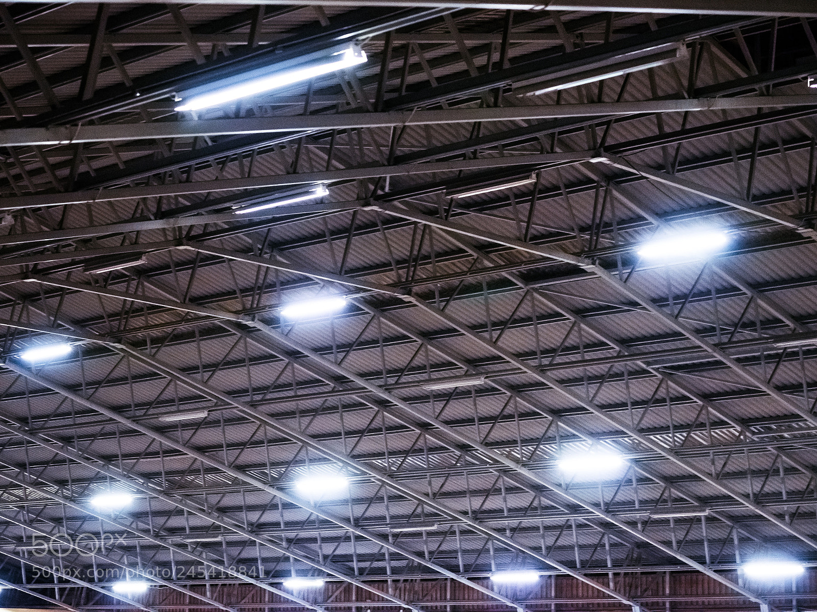 Sony a7 II sample photo. 033/365: riding ring ceiling photography