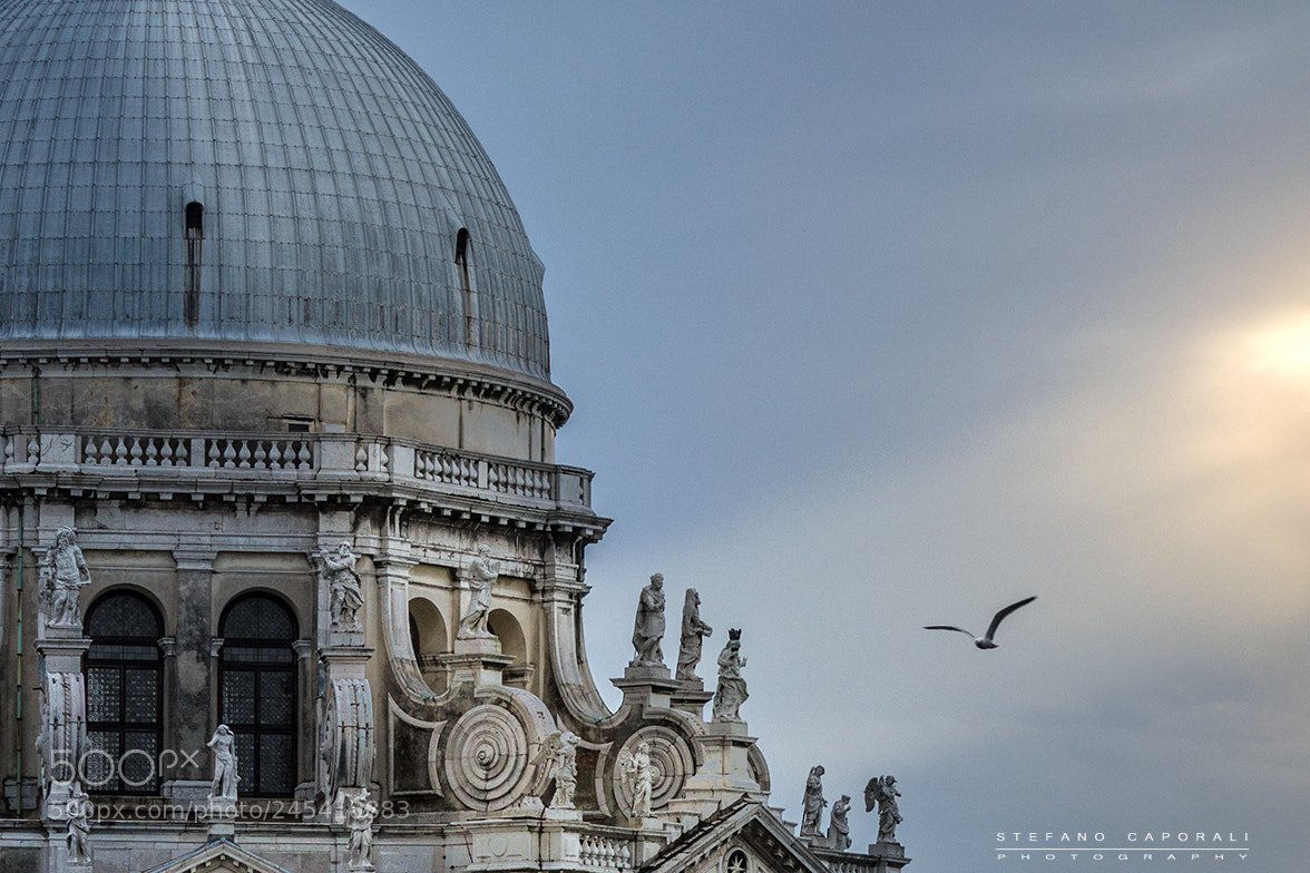 Sony a7R III sample photo. Flying to the church photography