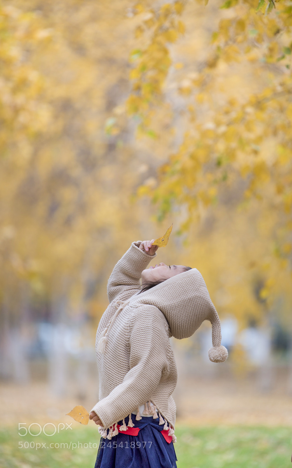 Nikon D810 sample photo. Untitled photography
