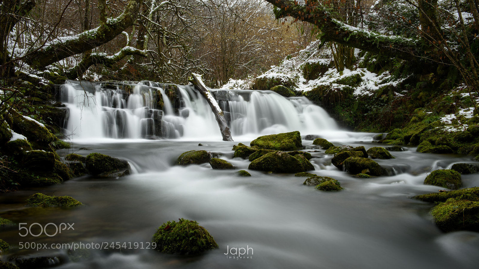 Nikon D810 sample photo. Invierno photography