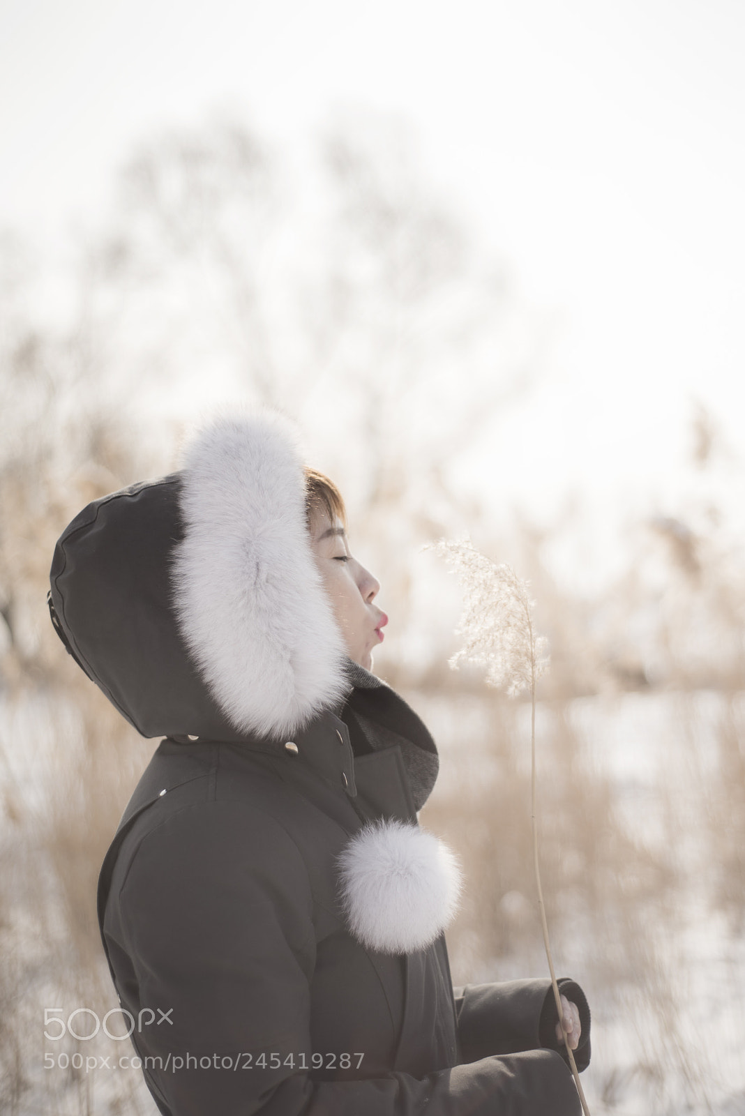 Nikon D810 sample photo. Untitled photography
