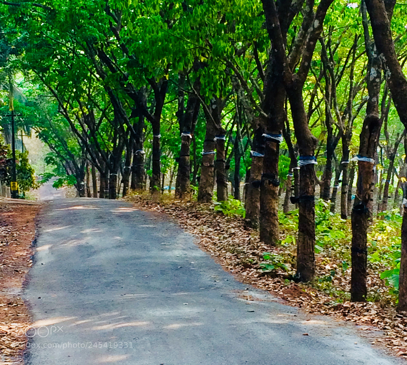 Apple iPhone 5s sample photo. Untitled photography