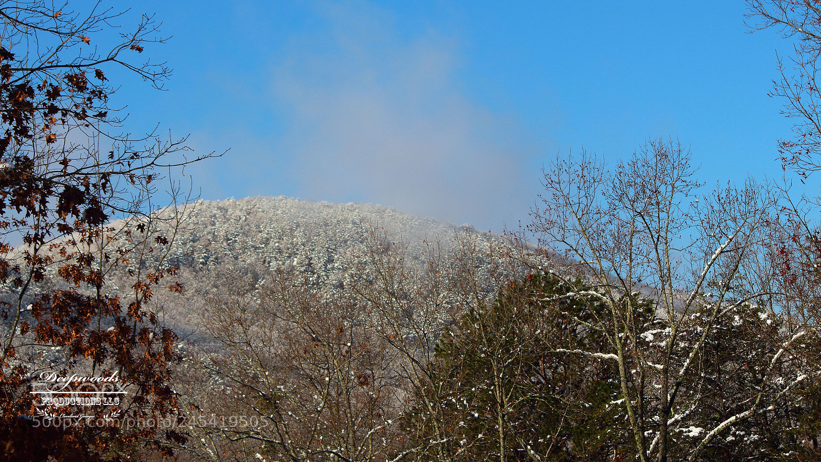 Canon EOS 700D (EOS Rebel T5i / EOS Kiss X7i) sample photo. Winter photography