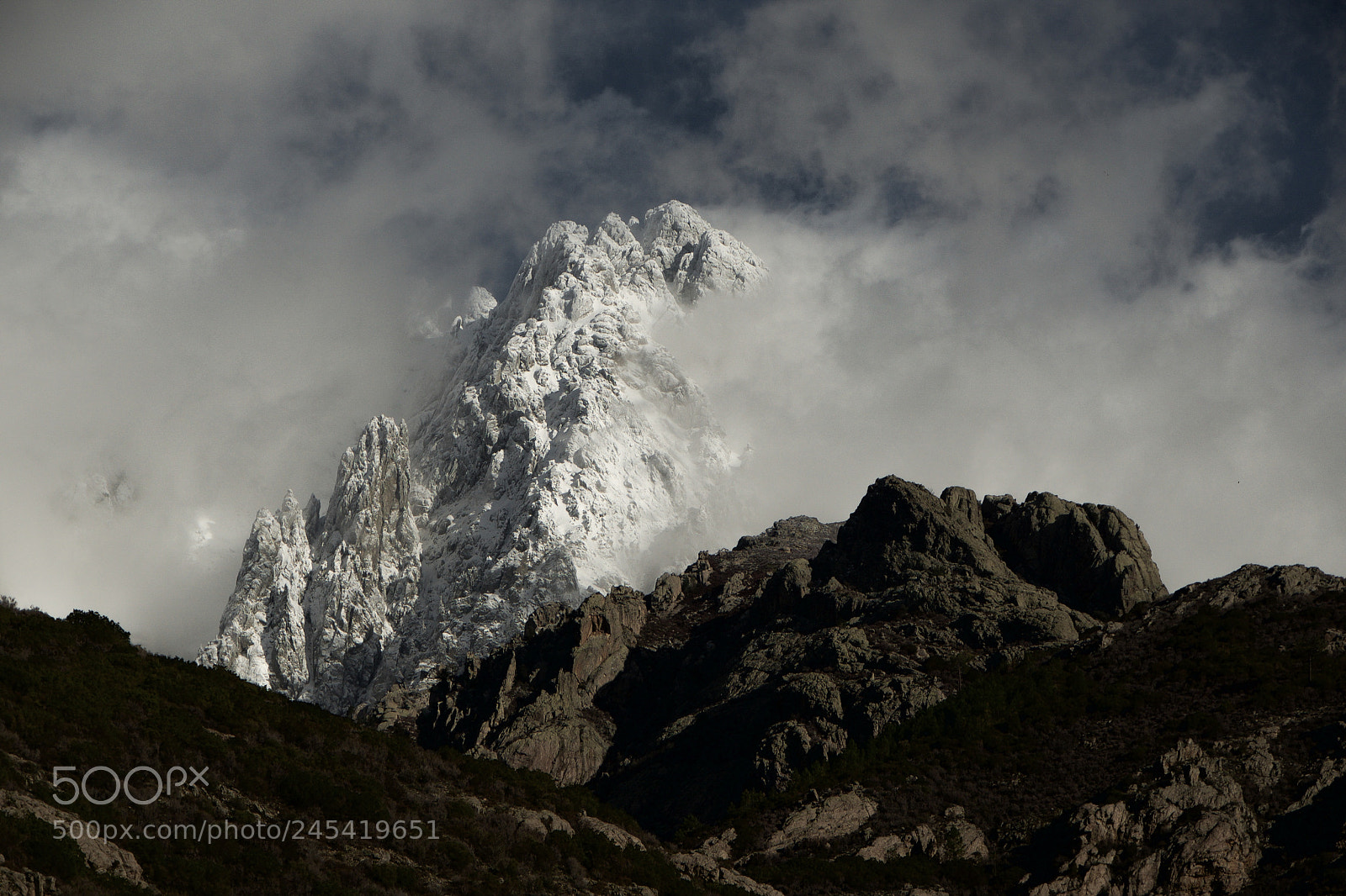 Nikon D610 sample photo. Himalayan corsica photography