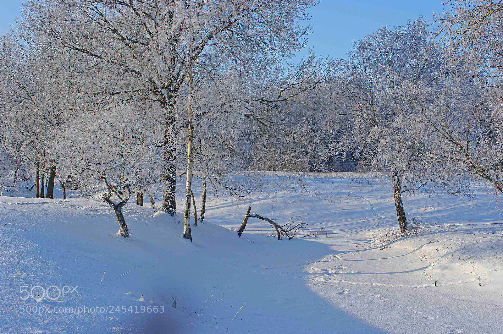 Pentax K20D sample photo. Winter landscap photography