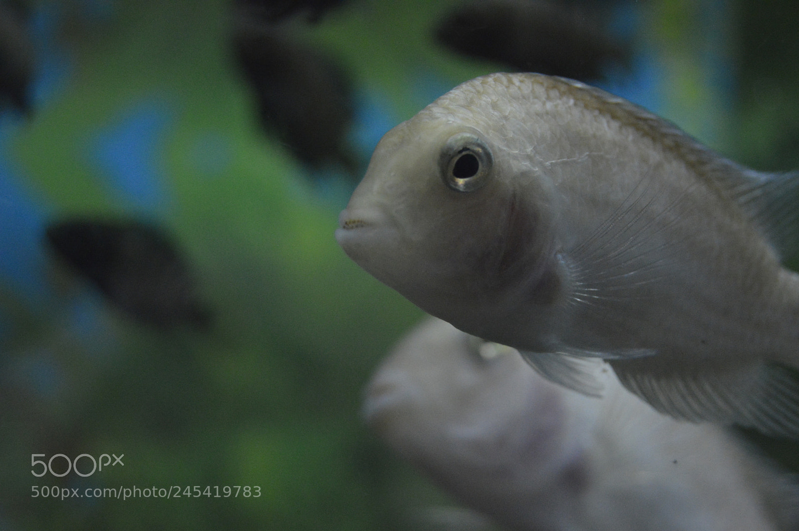 Nikon D3200 sample photo. Untitled photography