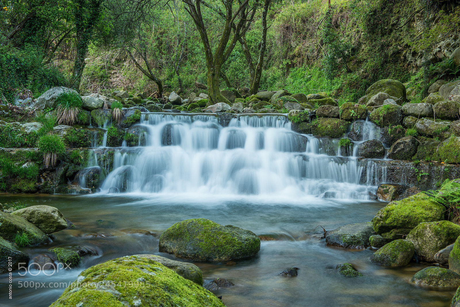 Nikon D600 sample photo. Water and stones photography