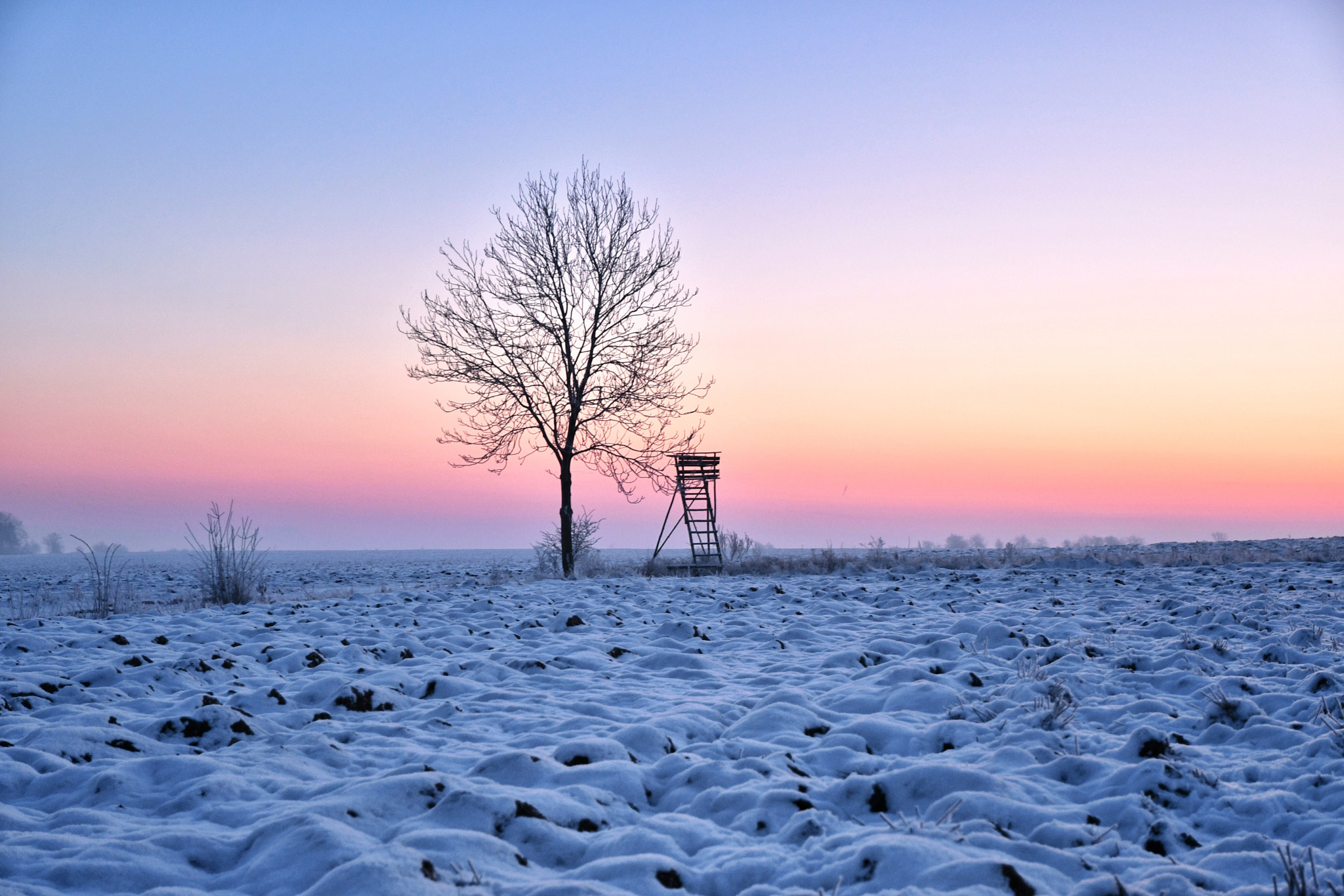 Nikon D500 sample photo. Winter sunrise  photography