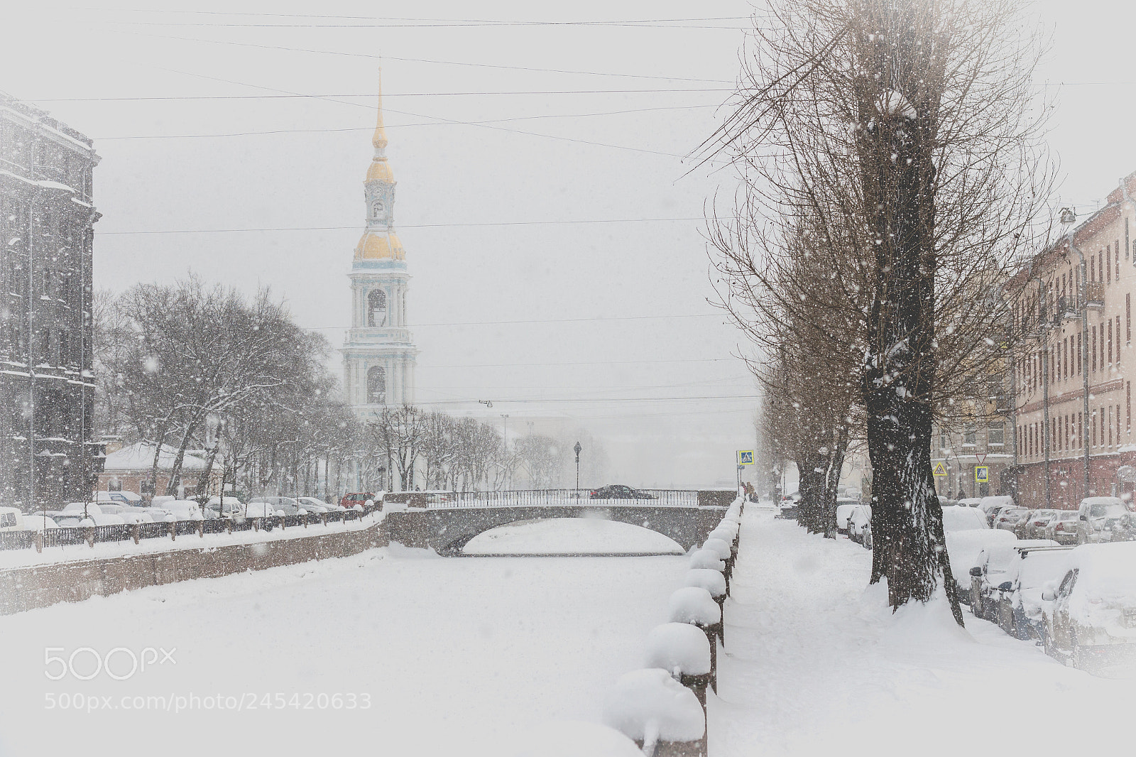 Canon EOS 700D (EOS Rebel T5i / EOS Kiss X7i) sample photo. In the snow photography