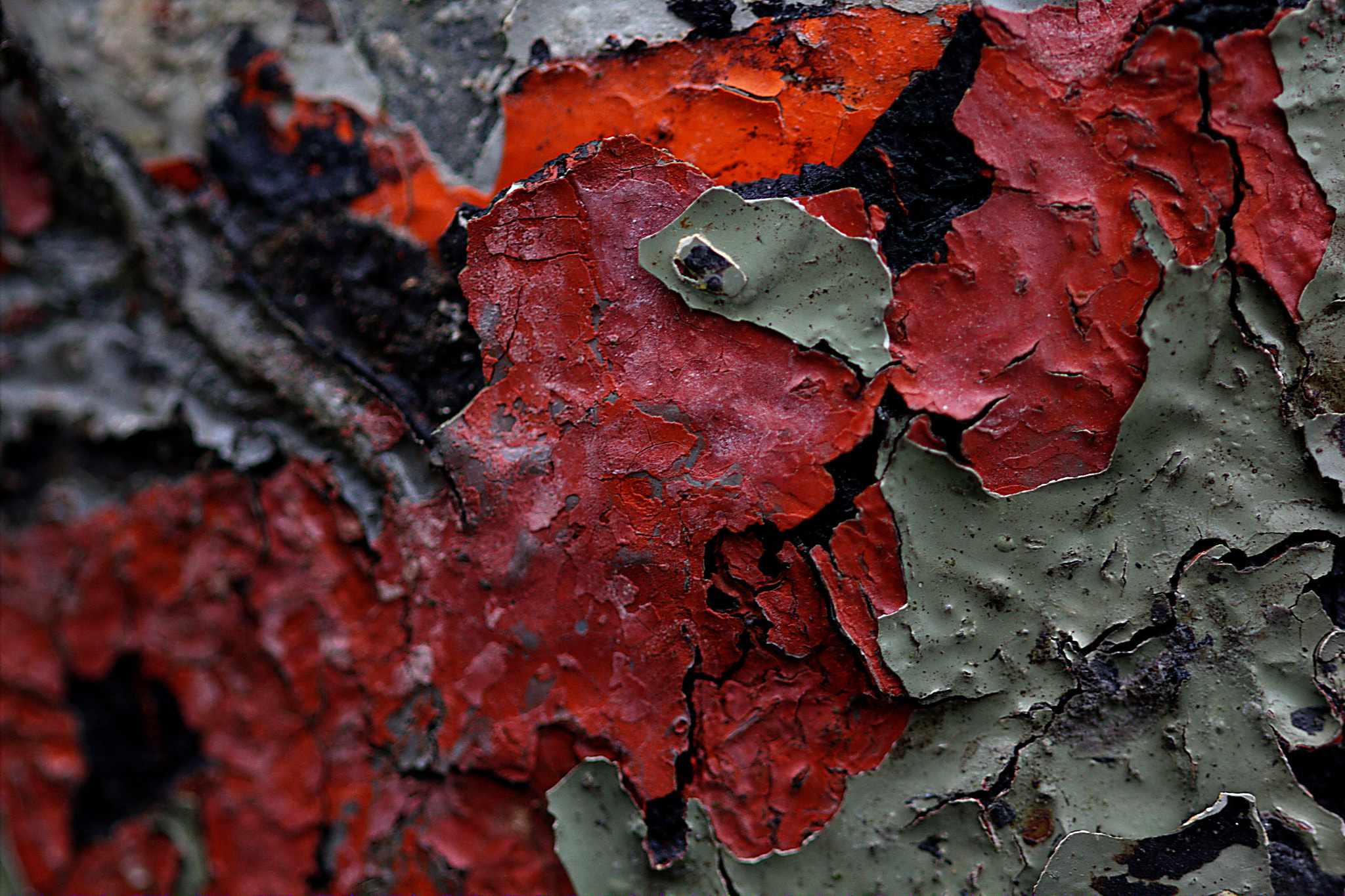 Canon EF 100mm F2.8L Macro IS USM sample photo. Broken paint iii photography