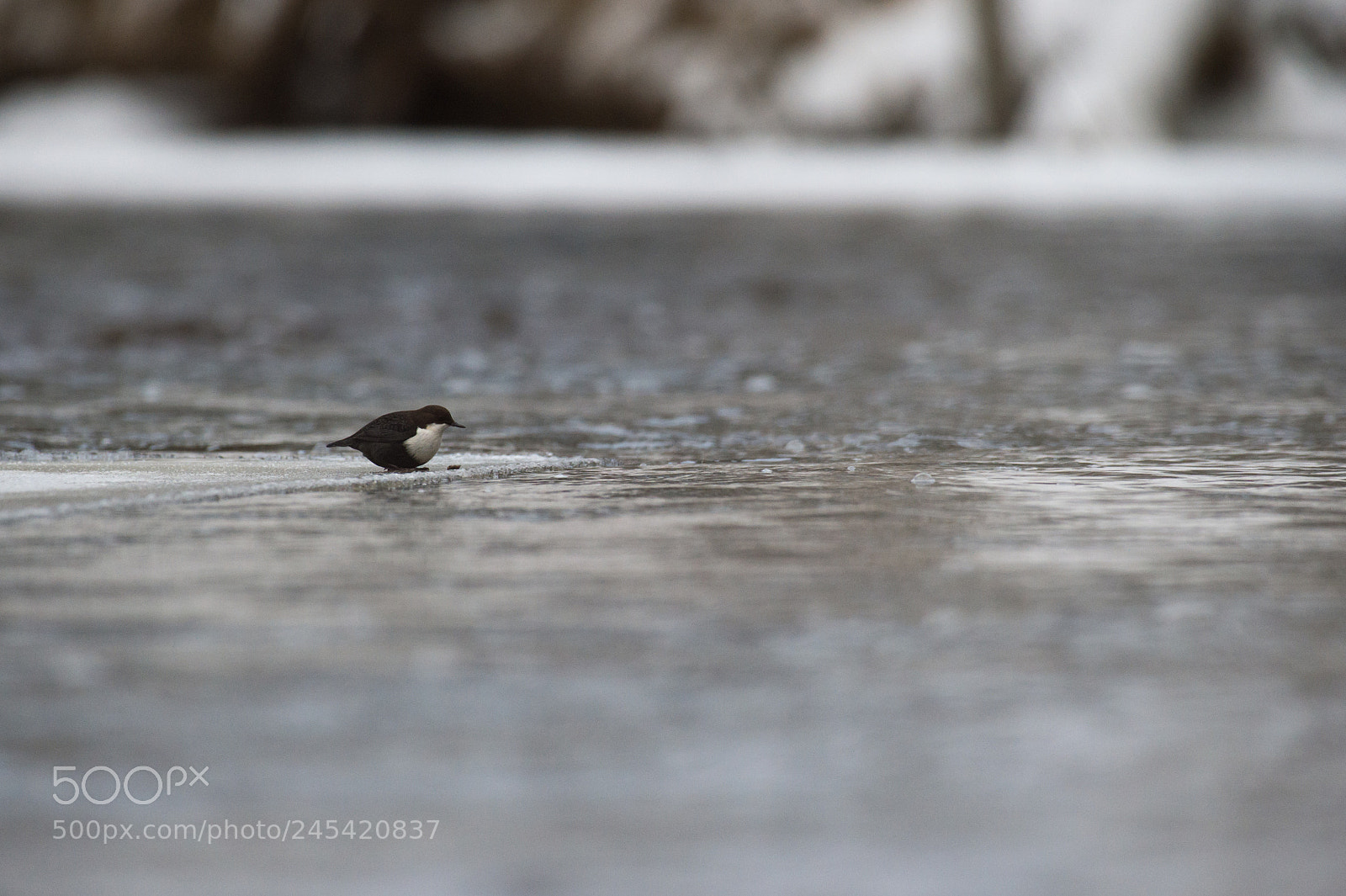Nikon D4S sample photo. End of the iceroad... photography