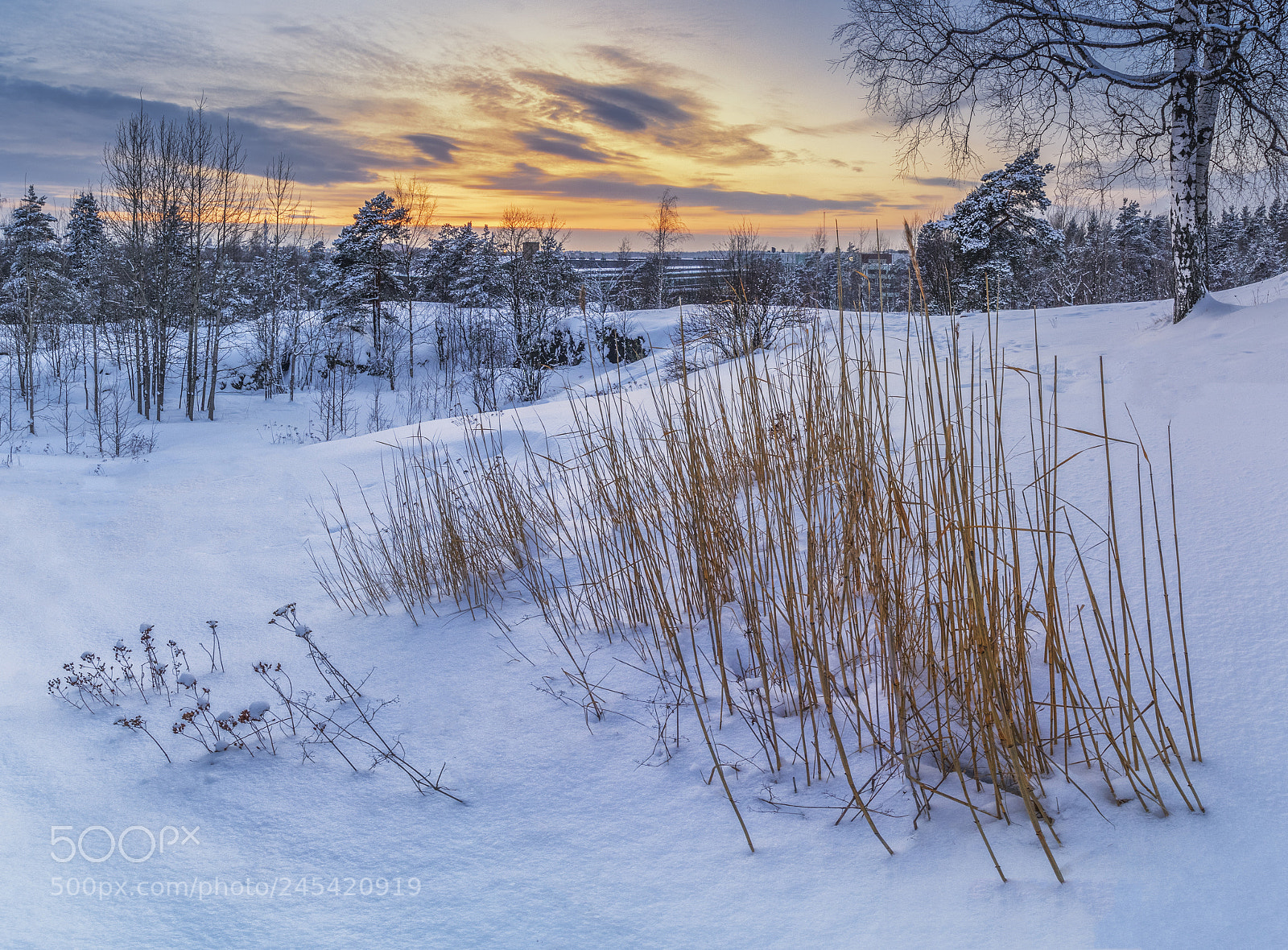 Canon EOS 750D (EOS Rebel T6i / EOS Kiss X8i) sample photo. Winter sunset photography