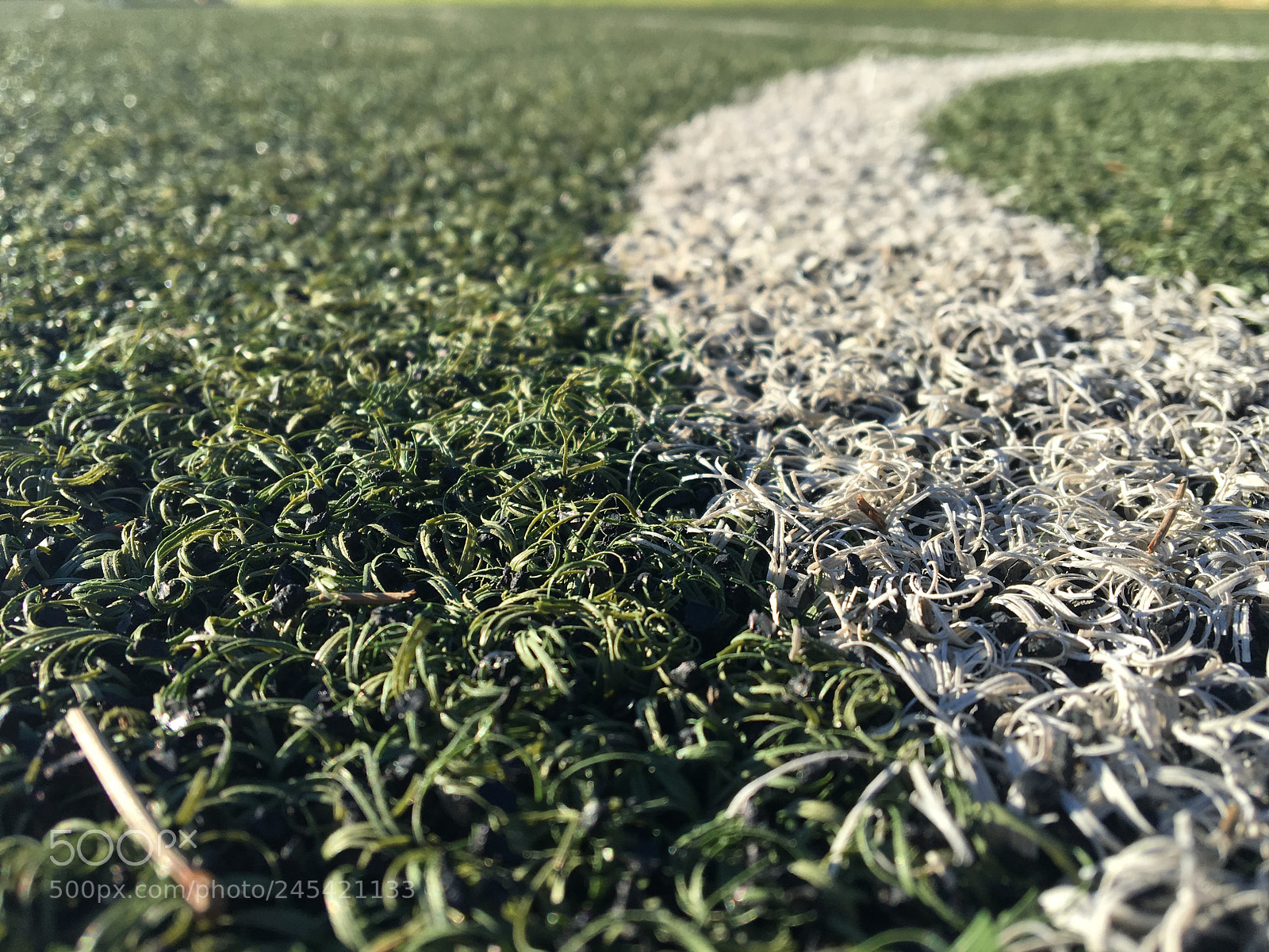 Apple iPhone 6s sample photo. Untitled photography
