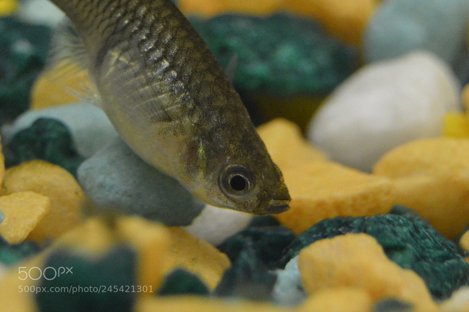 Nikon D3200 sample photo. Untitled photography