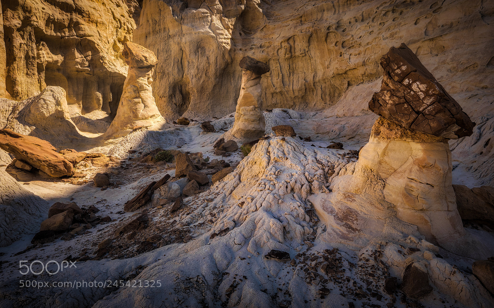 Olympus OM-D E-M1 Mark II sample photo. Toadstool hoodoos photography