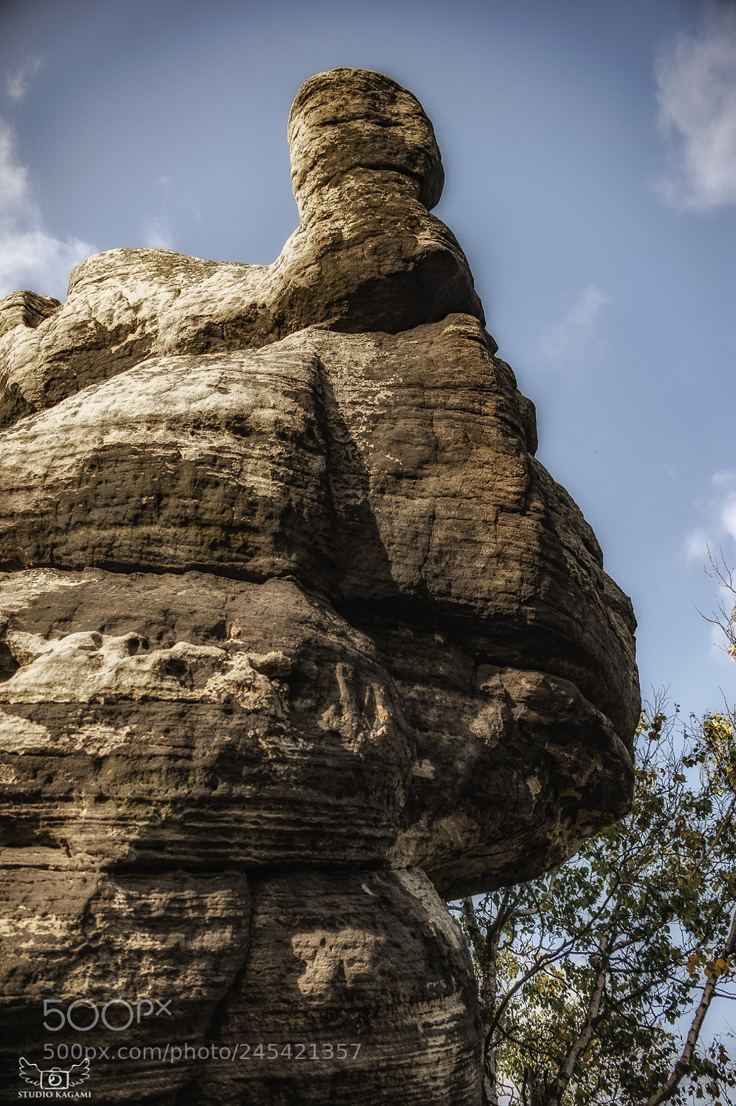 Nikon D700 sample photo. Nature #16 photography