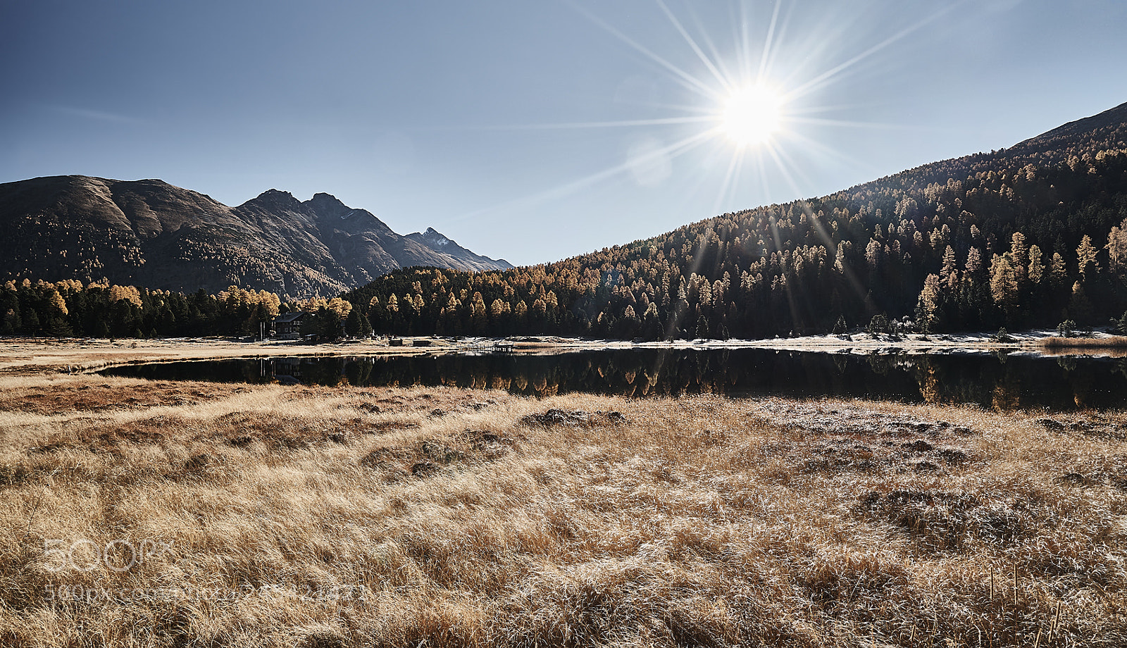 Sony a7 II sample photo. Autumn in engadin photography