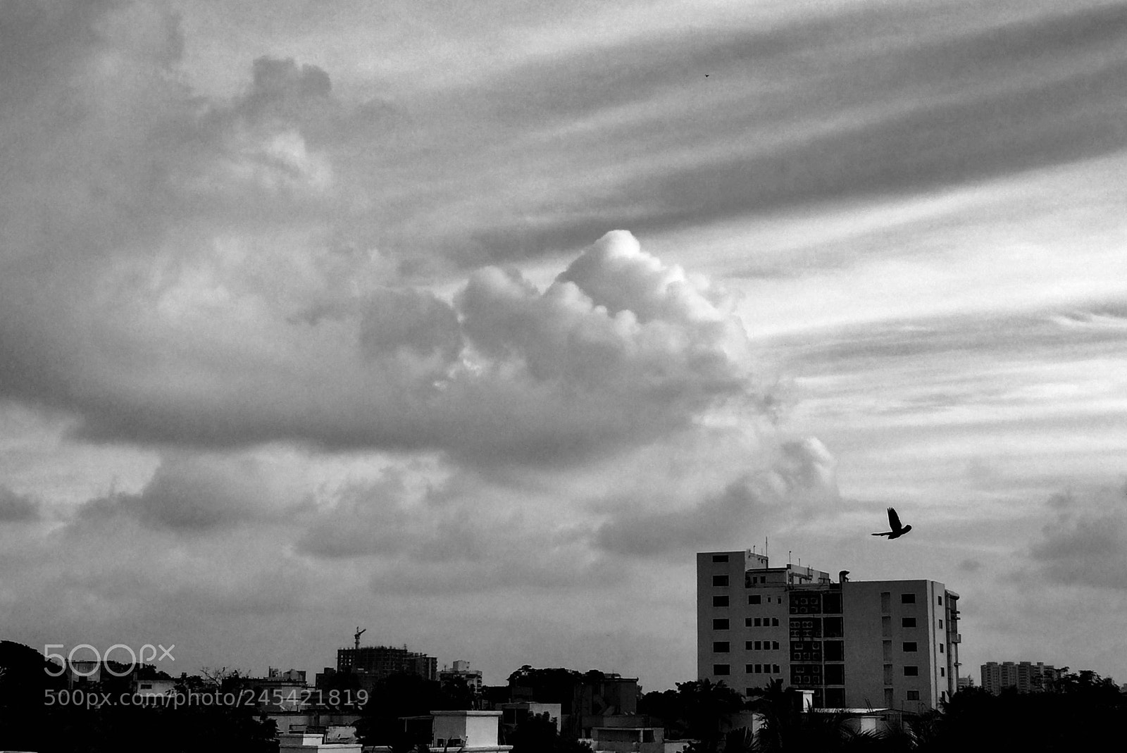 Apple iPhone 5s sample photo. Untitled photography