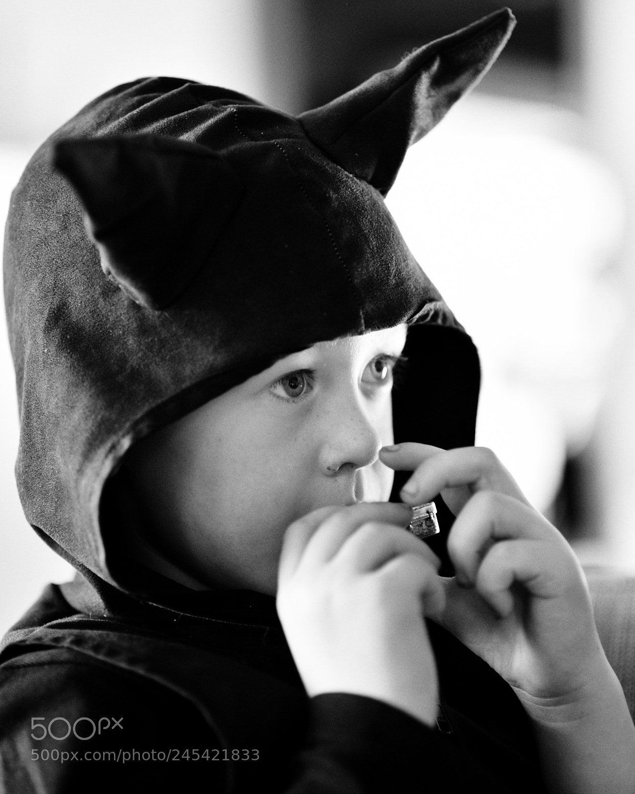 Nikon D700 sample photo. The bat boy photography