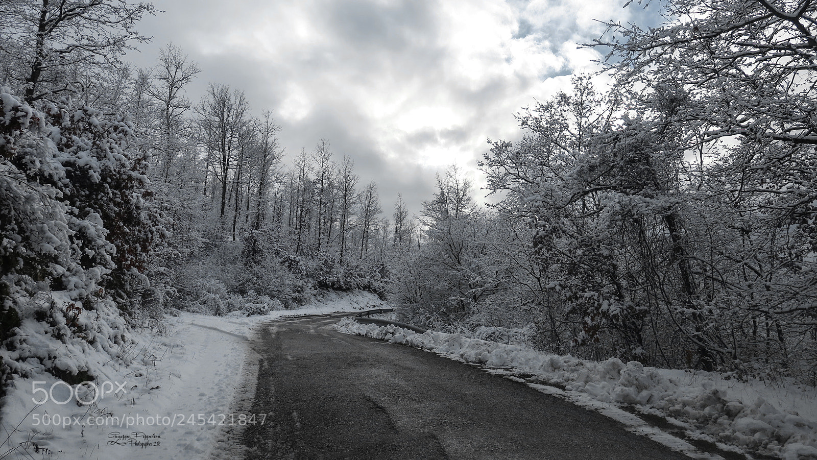 Canon PowerShot G3 X sample photo. Trees with snow photography