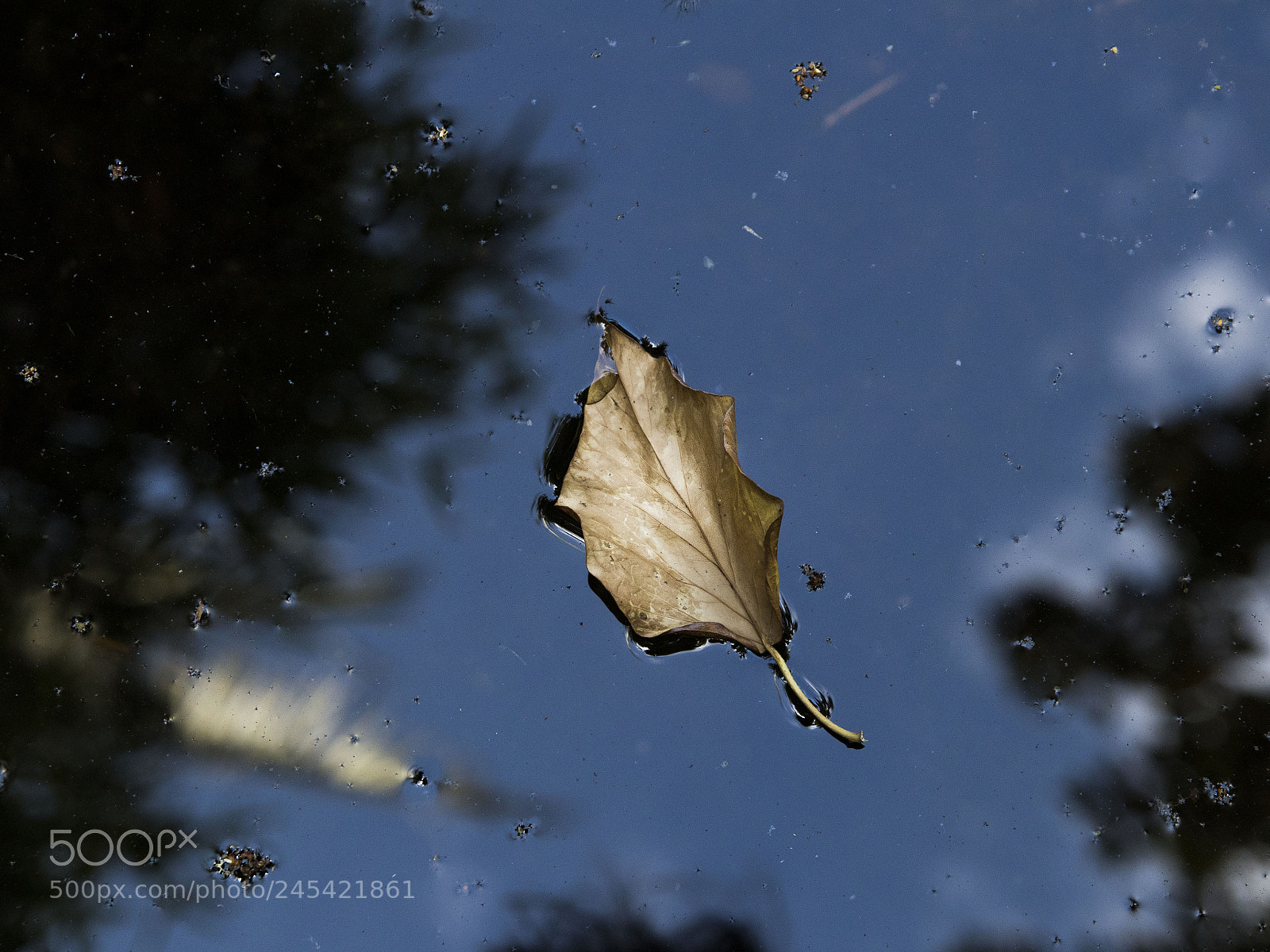 Canon EOS 77D (EOS 9000D / EOS 770D) sample photo. Ed mg photography