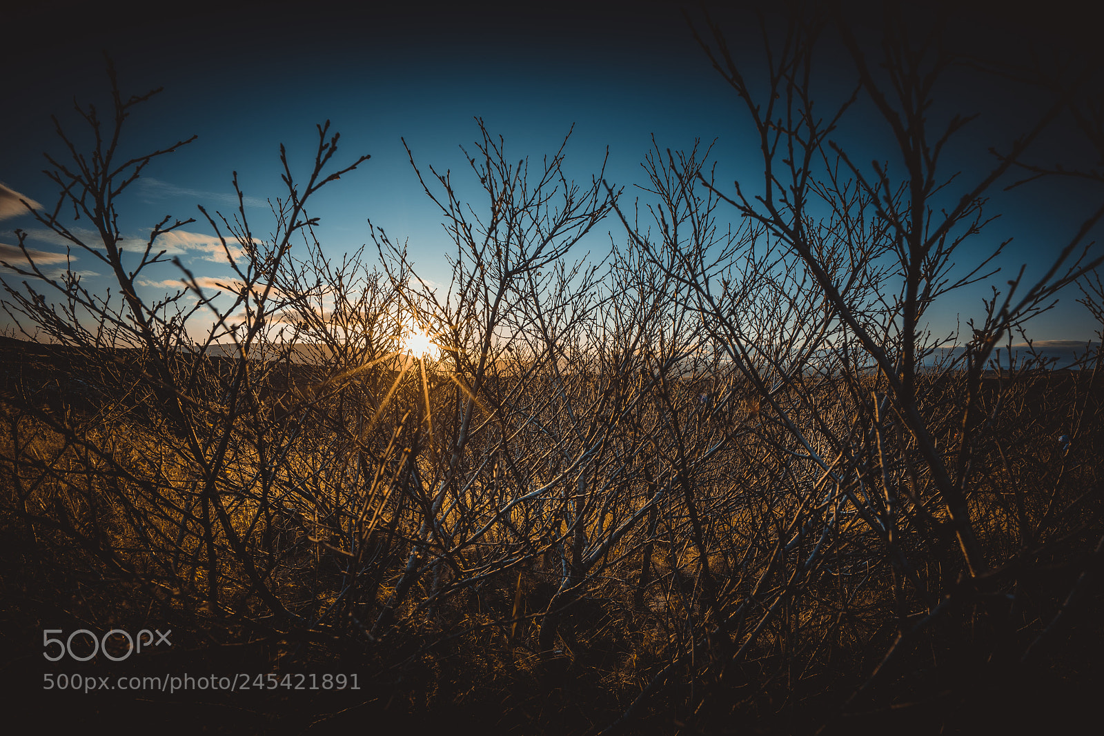 Sony a7R II sample photo. Iceland photography