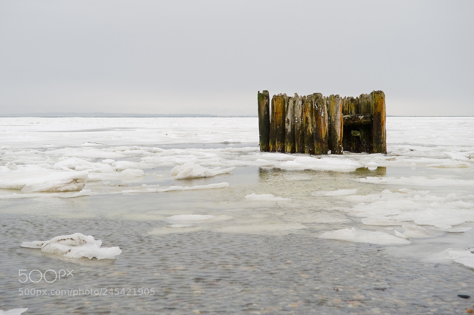 Nikon D700 sample photo. Pilings sit amongst the photography