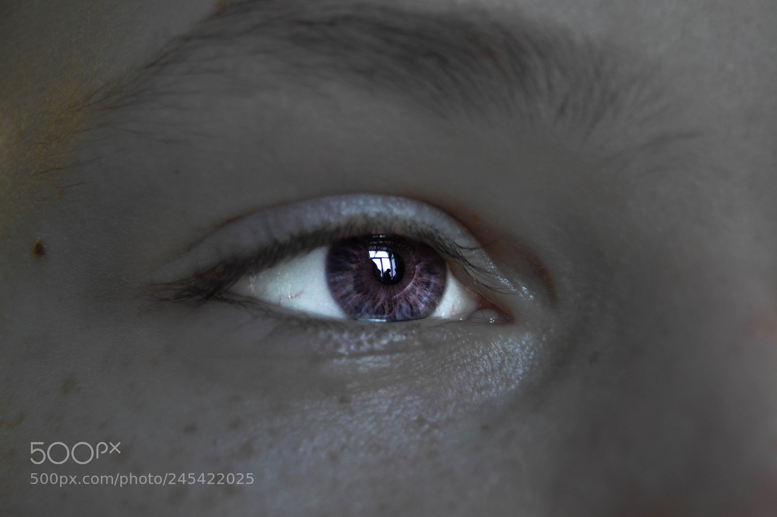 Nikon D3200 sample photo. Untitled photography