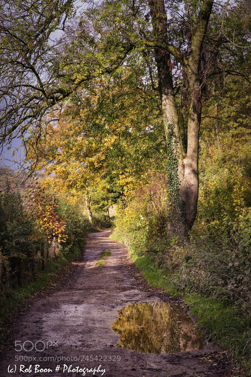 Canon EOS 5DS sample photo. Autumn colours @ gerendal 5 photography