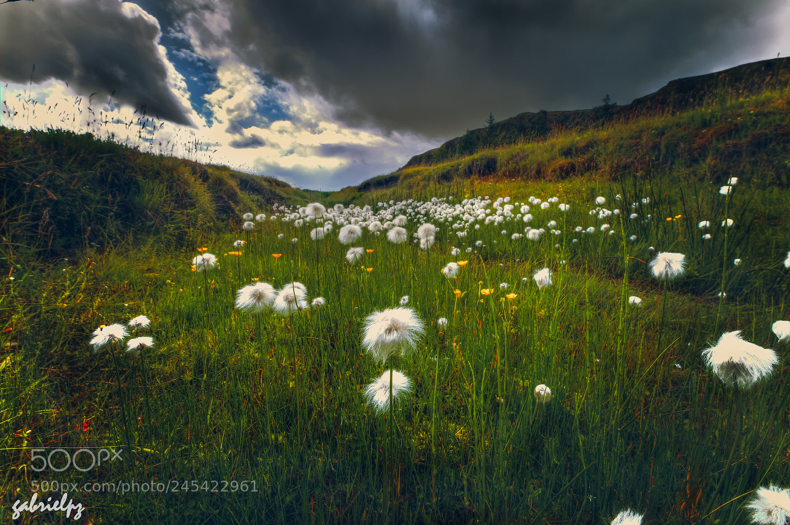 Nikon D610 sample photo. Paisajes de islandia photography