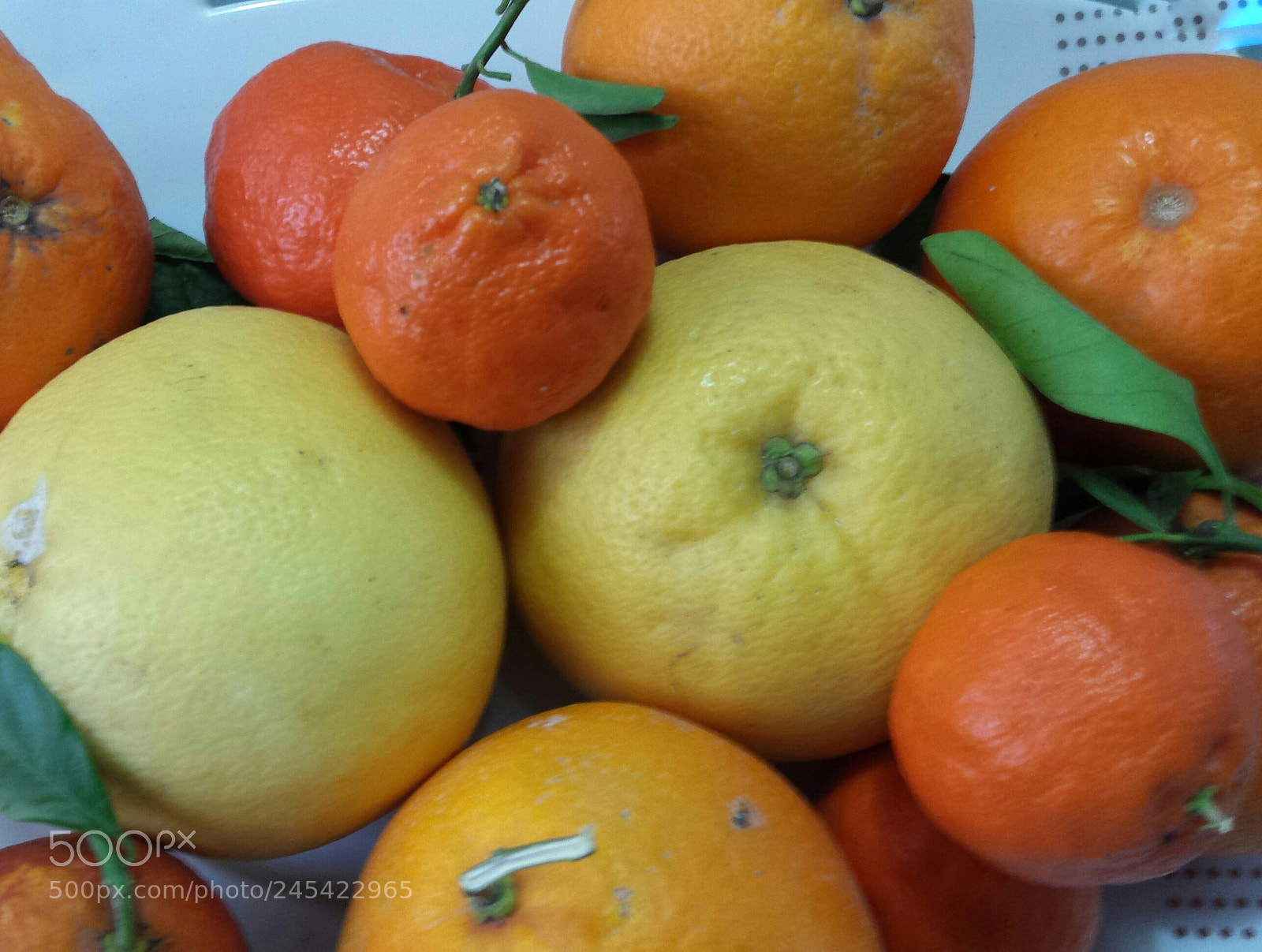 Samsung Galaxy S4 sample photo. Winter fruit photography