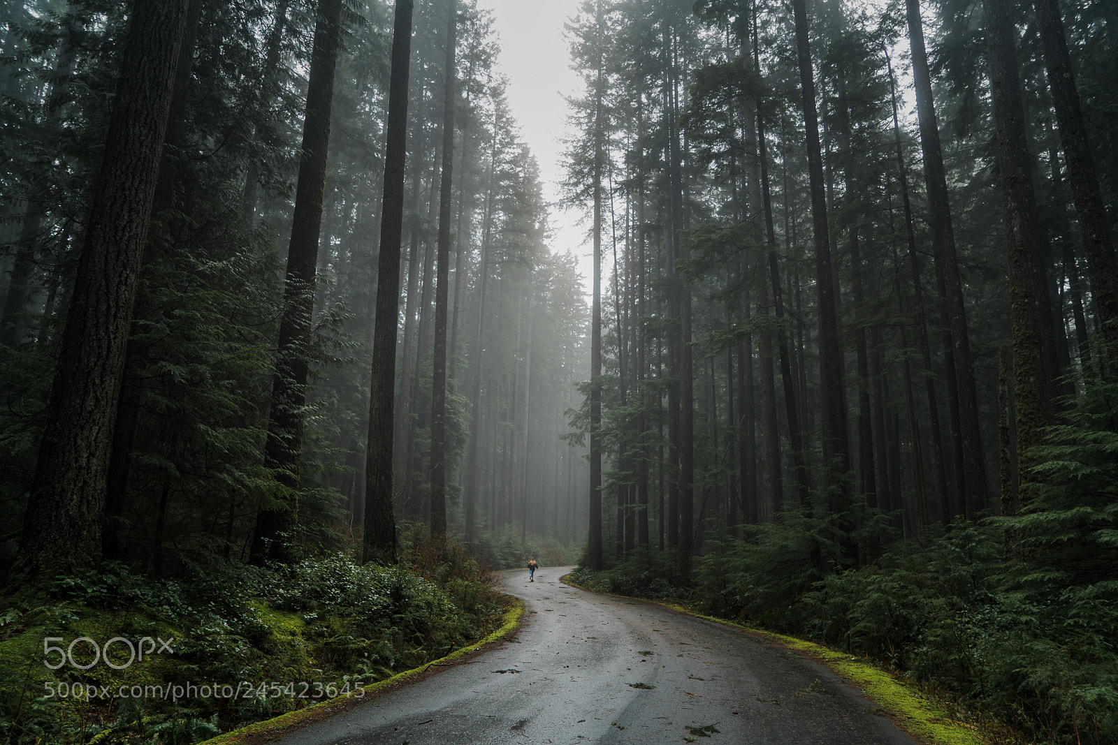Sony a7R II sample photo. Skating demo road. photography