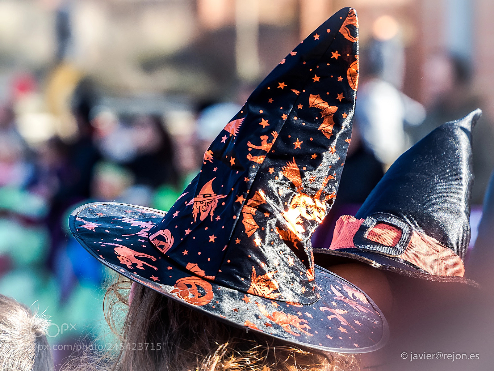 Olympus OM-D E-M5 II sample photo. Sombrero de bruja en photography