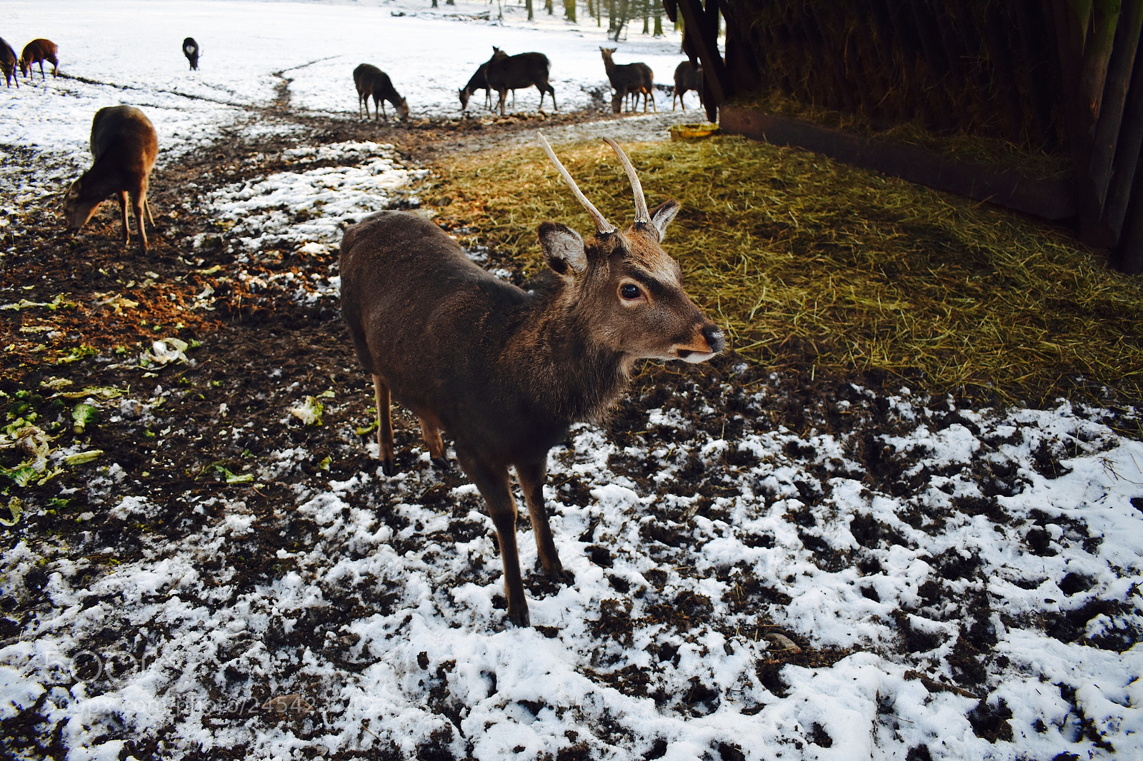 Nikon D3400 sample photo. Untitled photography