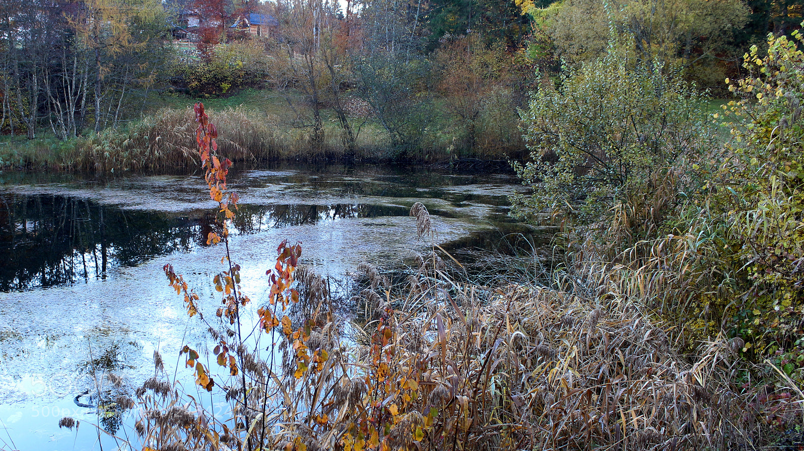 Canon EOS 650D (EOS Rebel T4i / EOS Kiss X6i) sample photo. Cei lake photography