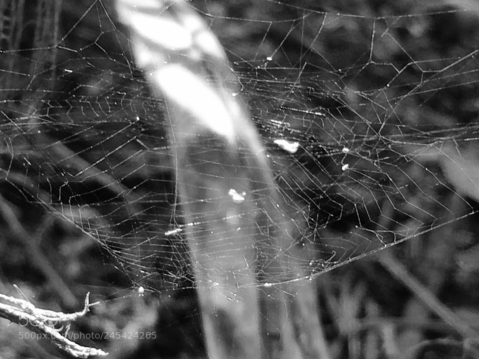 Apple iPhone 5s sample photo. Untitled photography