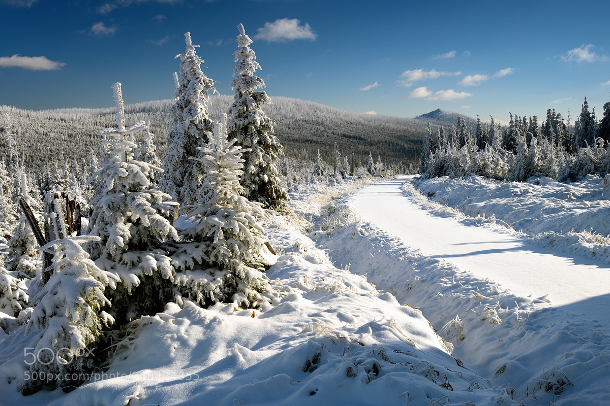 Nikon D800 sample photo. Luzný, Šumava mountains photography