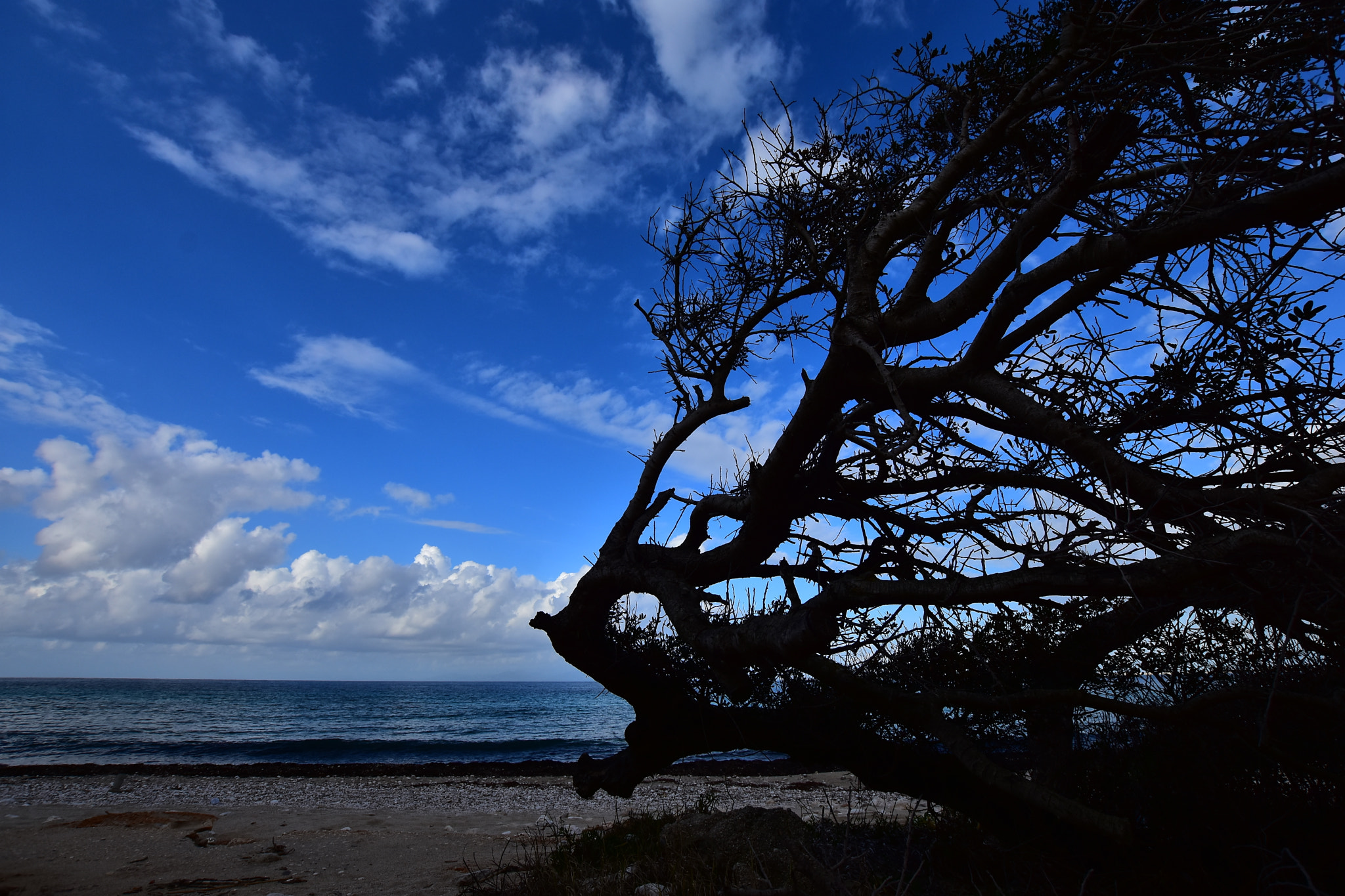 Nikon D7200 + Sigma 10-20mm F3.5 EX DC HSM sample photo. L40 photography