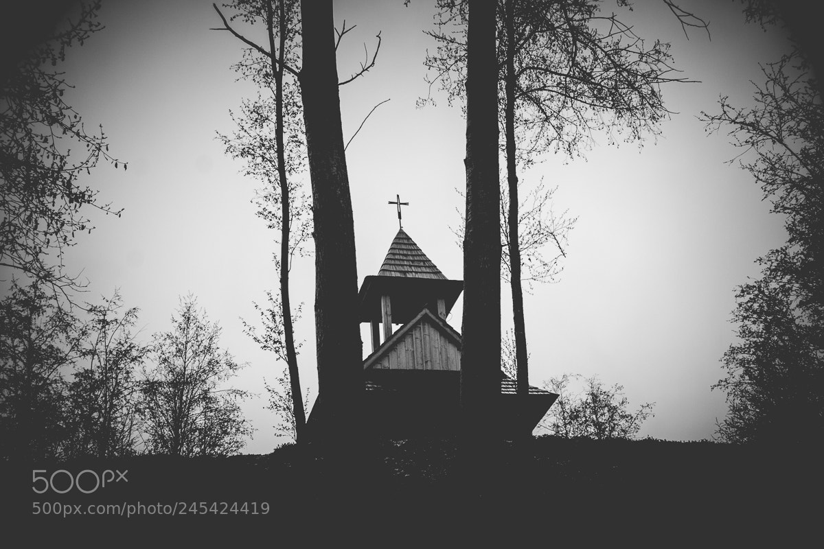 Nikon D3100 sample photo. Chapel photography