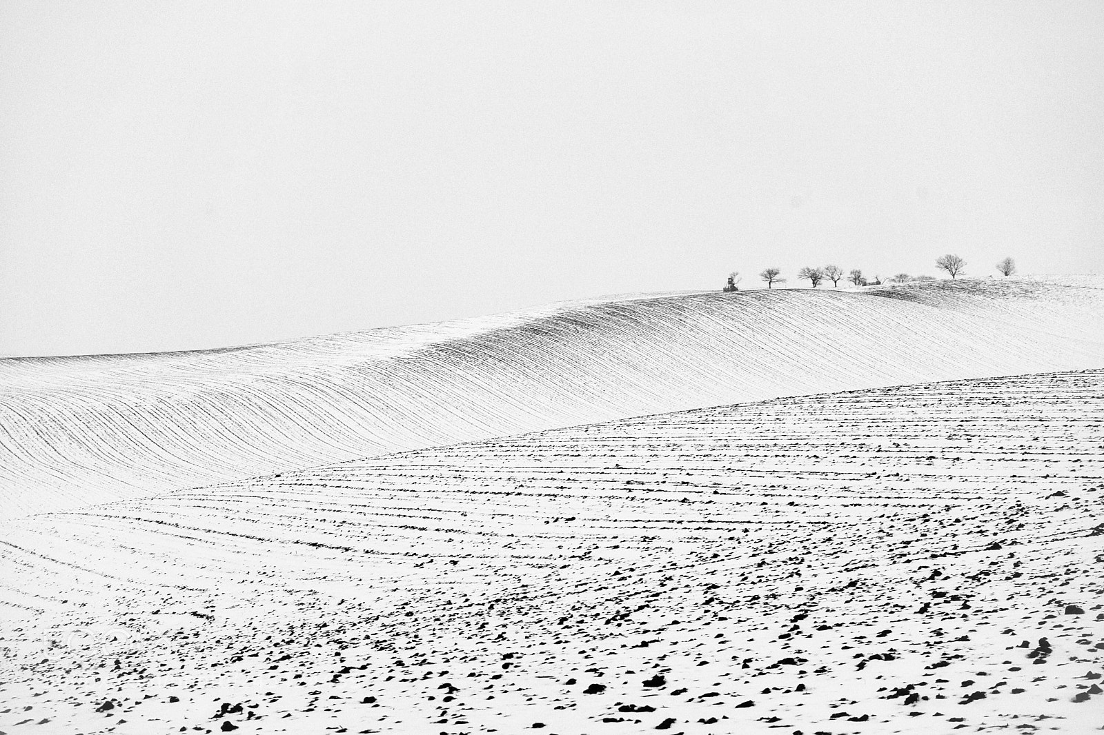 Sony a7 sample photo. White... photography