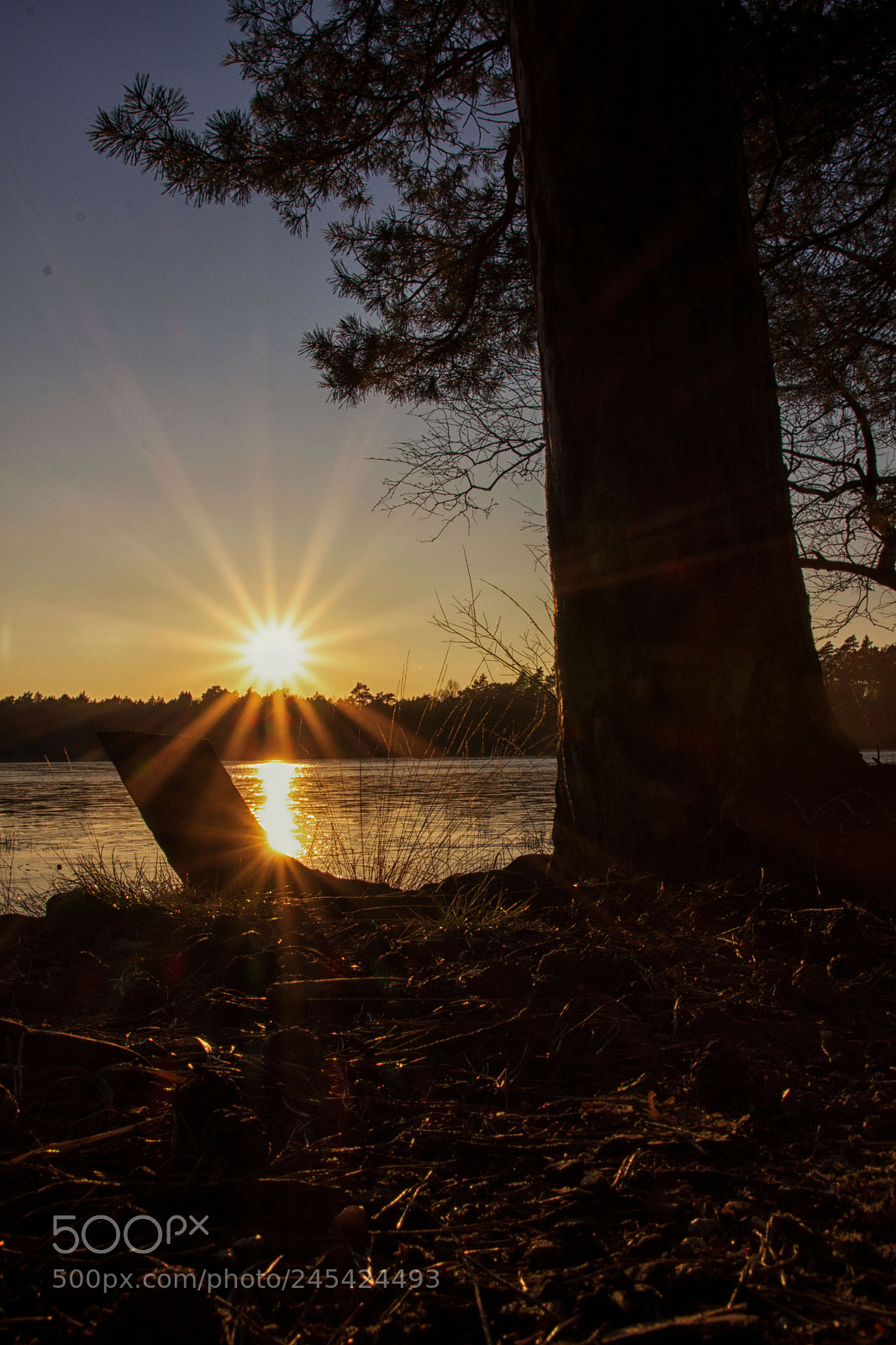 Canon EOS 700D (EOS Rebel T5i / EOS Kiss X7i) sample photo. Bullensee photography