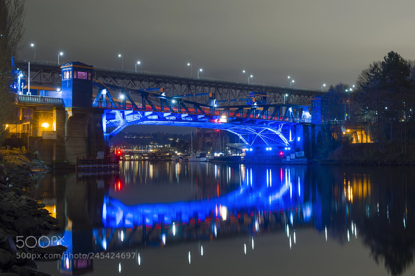 Nikon D800 sample photo. Fremont bridge lights photography
